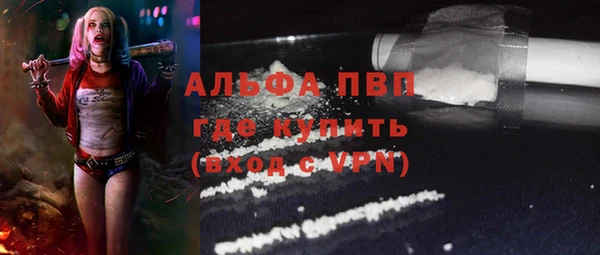 apvp Гусев