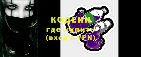 apvp Гусев