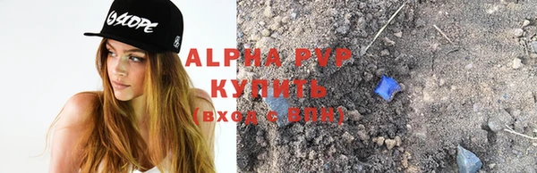 apvp Гусев