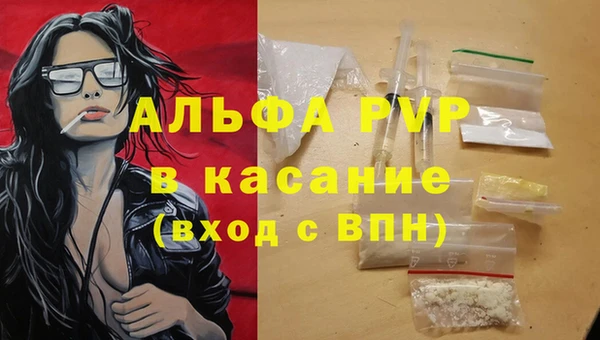 apvp Гусев