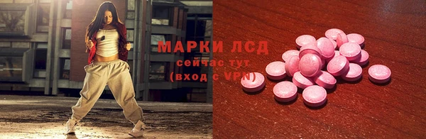 apvp Гусев
